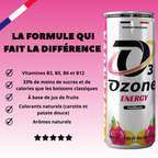 YUZU / FRUIT DU DRAGON - PACK DE 6